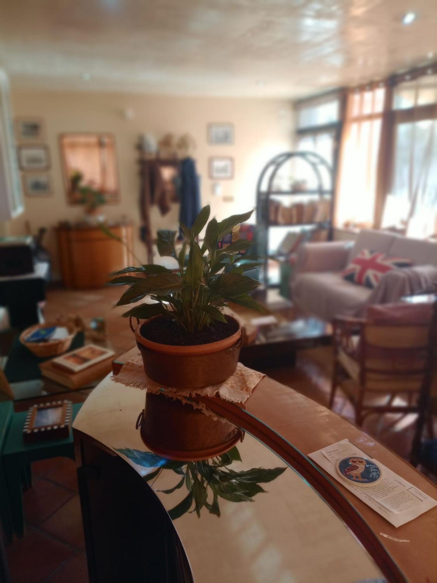 Casa Di Luca Bed and Breakfast Agrigento Exteriör bild